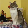 Отзыв от Любовь Артамонова